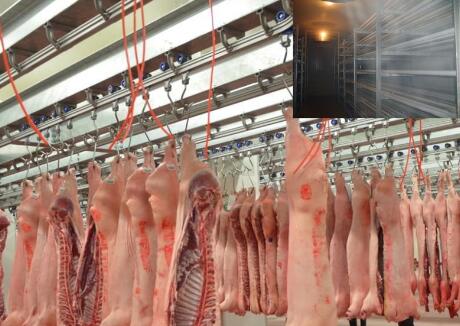 100平米左右的凍肉冷庫造價需要多少錢?