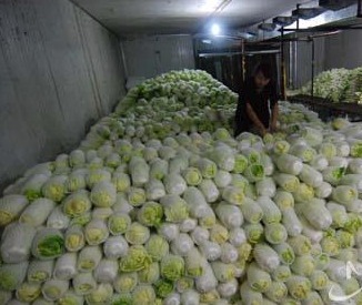寧波蔬菜冷庫造價需要多少錢？