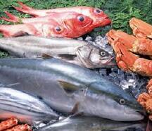 凍魚冷庫(kù)