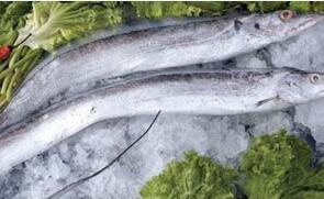 寧波凍魚(yú)冷庫(kù)管理要注意什么?
